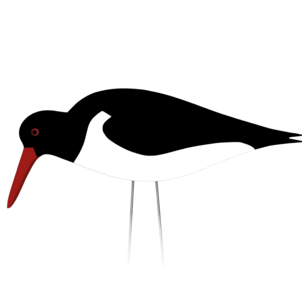 Strandskata